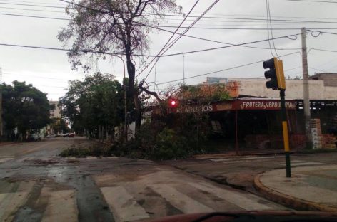 Capital. Temporal de viento, lluvia y granizo dejó graves daños