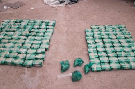 Incautan cocaína, marihuana y hojas de coca a boliviano