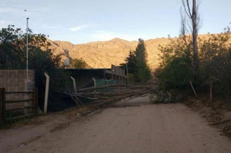 Calor, tierra, árboles caídos y cortes de luz: lo que dejó el zonda