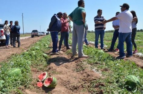 Municipio prometió auxilio a productores afectados por granizo