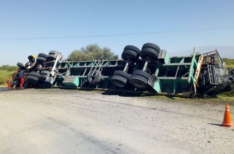 Volcó camión repleto de aceitunas: solo heridos