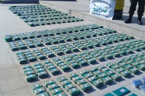 Incautan 218 kilos de hojas de coca: un detenido