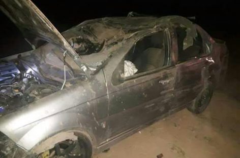 Continúa la seguidilla de accidentes ruteros por animales sueltos