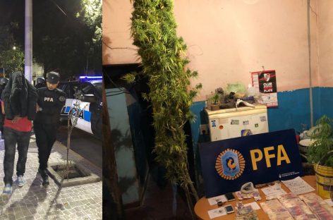 Encuentran marihuana, cocaína, LSD y plantas de cannabis: seis detenidos