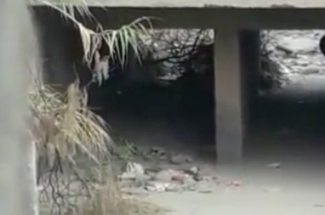 Infraganti. Los pescaron teniendo sexo bajo un puente en Chilecito