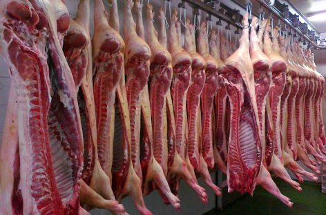 La Rioja prohibió el ingreso de carne de cerdo de otros países