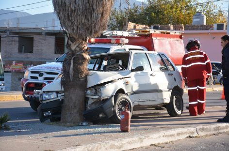 Perdió el control y terminó estrellado contra una palmera