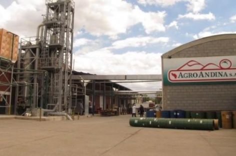 Ex coordinador de las SAPEM recomendó «venderlas ya»