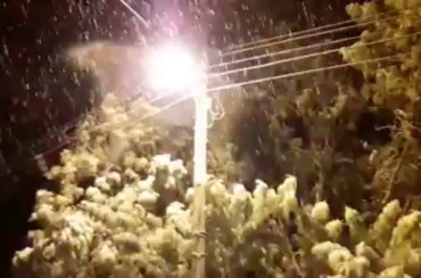 El frío polar trajo nevadas en localidades del interior provincial