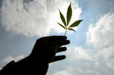 Tras el aborto, se debatirá despenalizar la marihuana