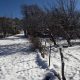 Nevó en el interior riojano: Aicuña y Cuesta de Miranda de blanco