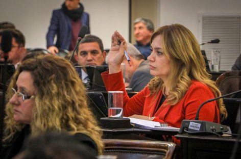 “La pobreza cero quedo en una gran mentira» del macrismo