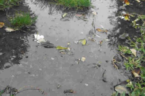 Se descompensó, cayó en un charco y murió ahogado