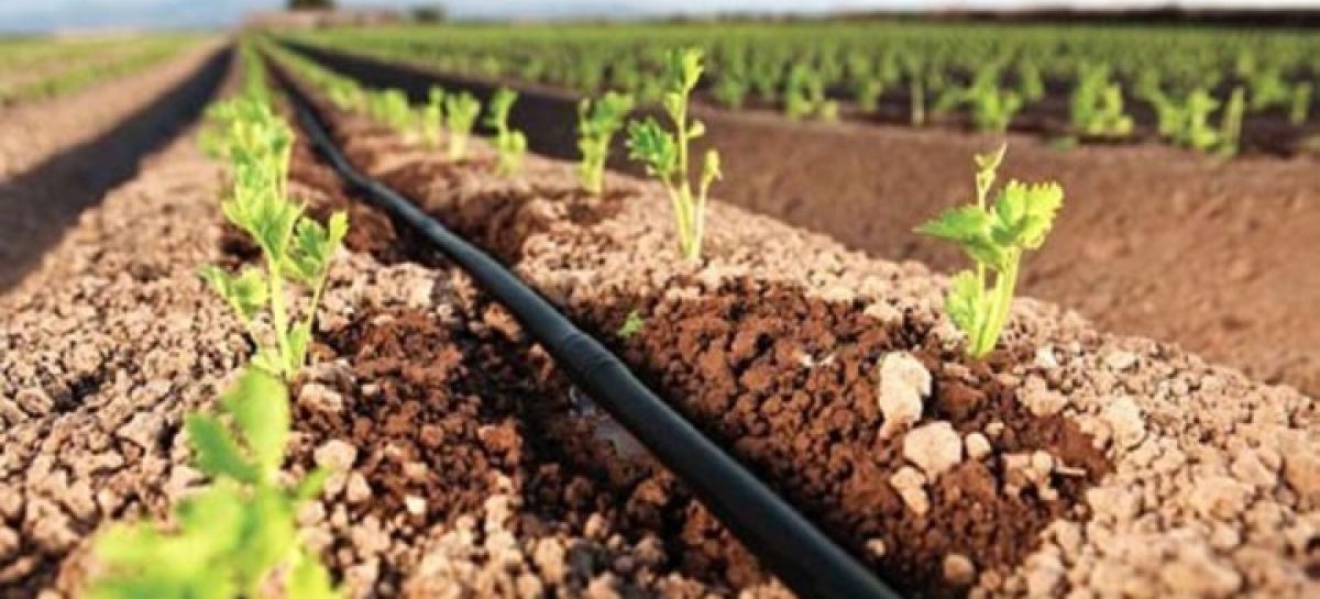 Buscan apoyo israelí para desarrollar el agro riojano