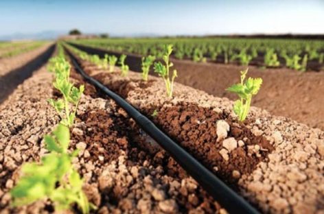 Buscan apoyo israelí para desarrollar el agro riojano