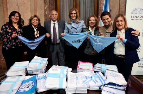Aborto: el Senado votará el proyecto de Diputados
