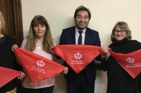Lo que viene. El pañuelo rojo por una nueva Ley de Adopción