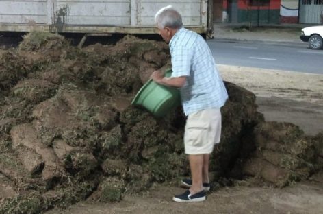 Robaron panes de césped, los escracharon y los devolvieron