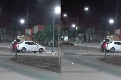 Lamentable. Se robaron los panes de césped de la 1º de Marzo