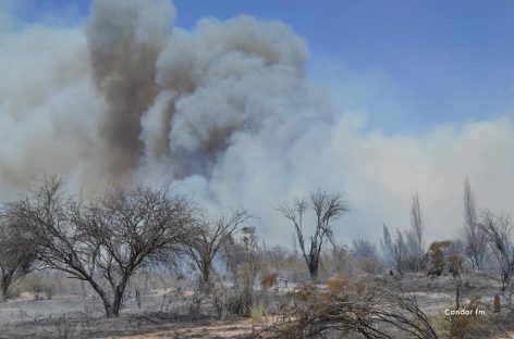 Varias fincas fueron arrasadas por el fuego en Pagancillo