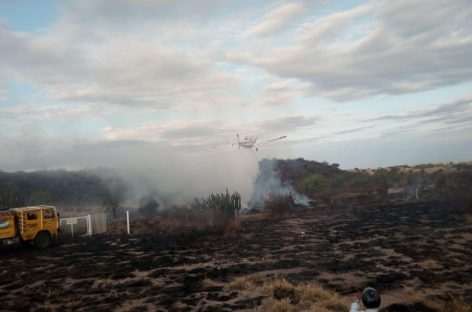 Controlan incendio forestal en inmediaciones del Parque de la Ciudad