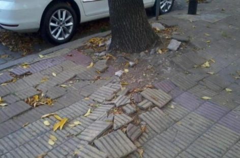 Multarán a frentistas que no tenga sus veredas transitables