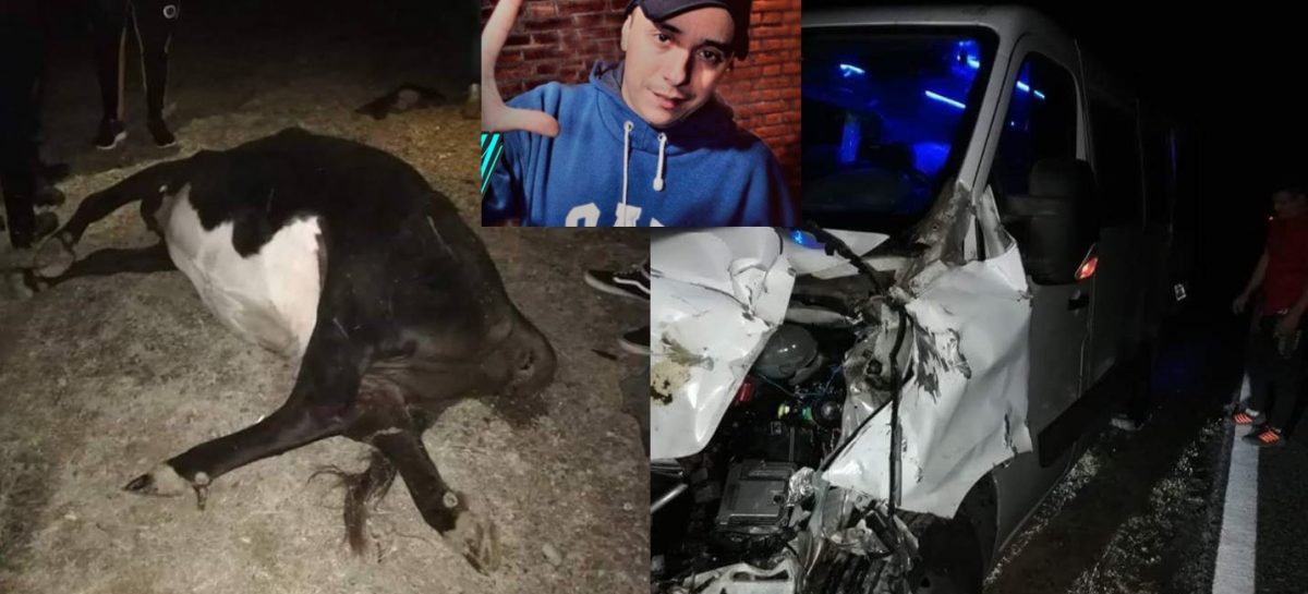 Tras cantar en La Rioja, se accidentó el Dipy: chocó una vaca