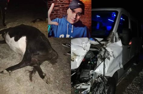 Tras cantar en La Rioja, se accidentó el Dipy: chocó una vaca