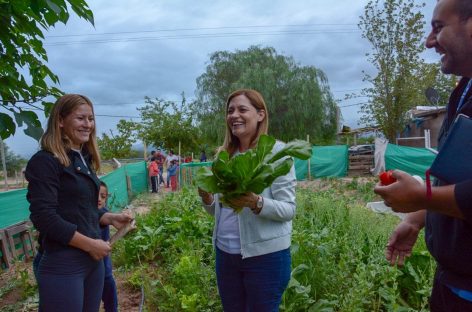 Huertas comunitarias, una ayuda a la crisis económica