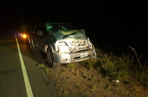 Animales sueltos causaron otro grave siniestro en ruta riojana