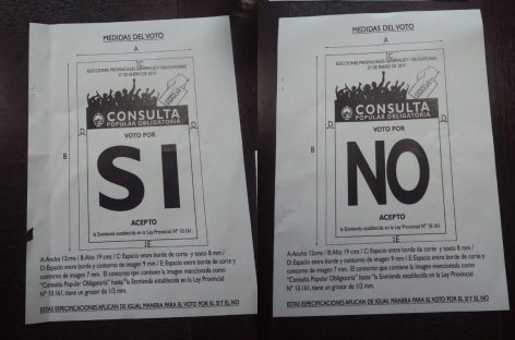Consulta popular. Todo lo que debés que saber si finalmente se vota