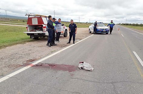 Murió el joven que fue atropellado mientras caminaba por ruta 38