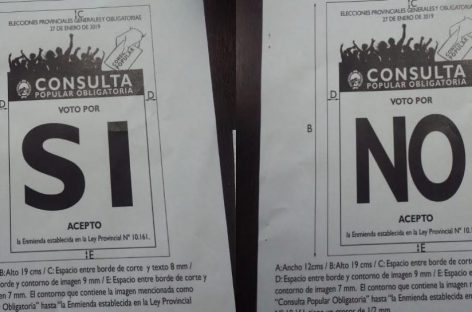 A días del fallo de la Corte Suprema, el gobierno defendió la enmienda