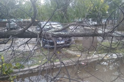 Un temporal de viento, lluvia y granizo golpeó a la Capital