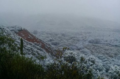 El frío también trajo nieve a localidades riojanas
