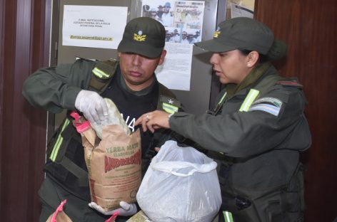 Golpe al narcotráfico: incautan más de 10 kilos de marihuana