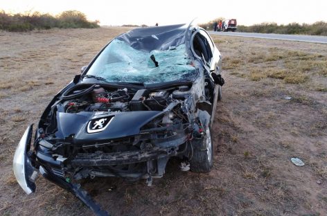 Un caballo provocó otro grave accidente rutero