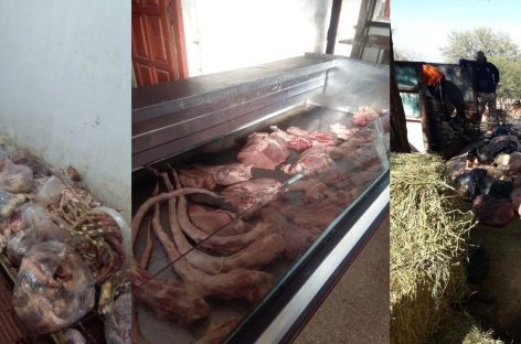Decomisan más de 200 kilos de carne podrida en un frigorífico