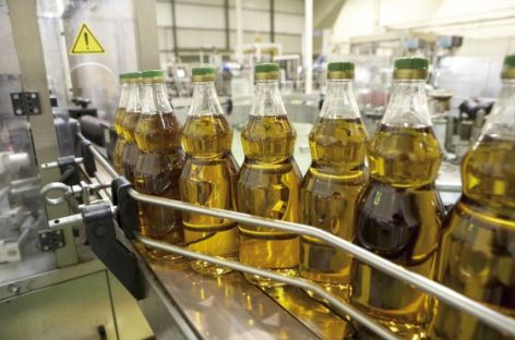 El TLC Argentina – Unión Europea hace «temblar» al sector olivícola