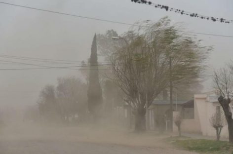 FUERTES VIENTOS CAUSARON CORTES DE LUZ Y CAÍDA DE ÁRBOLES