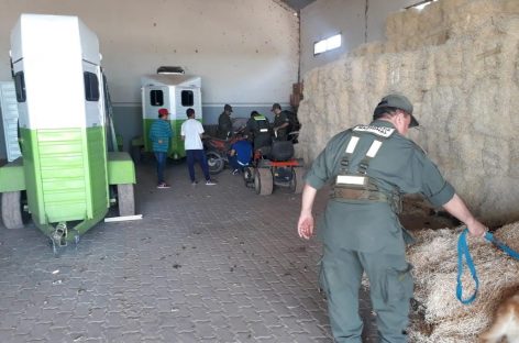 Detienen y decomisan bienes por más de $100 millones a empresario riojano