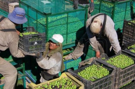 Los peores pagos privados: trabajadores de la agricultura y ganadería