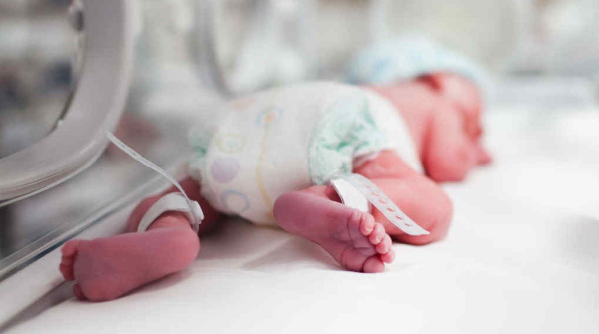 NACIMIENTO EN LA RIOJA. CAYERON 40% ENTRE  2014 Y 2024 EN LA PROVINCIA