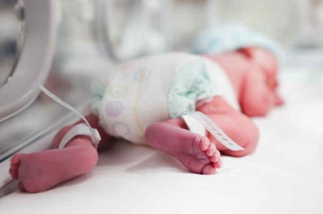 NACIMIENTO EN LA RIOJA. CAYERON 40% ENTRE  2014 Y 2024 EN LA PROVINCIA