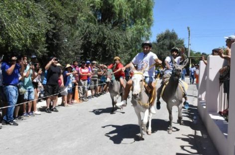 Se suspendió el cuestionado Rally de Burros en Los Molinos