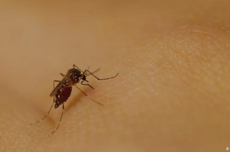 Detectan nuevos casos de dengue y ya son siete en Capital