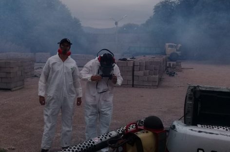 Aumentan los casos de dengue en La Rioja: 43 confirmados y 31 en estudio