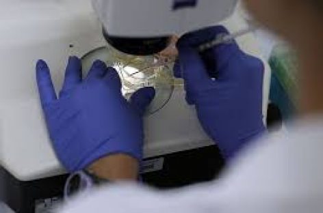 CORONAVIRUS. IDENTIFICAN TRES CEPAS QUE CIRCULAN EN ARGENTINA