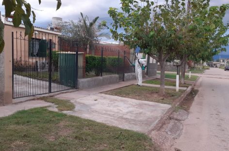 DENGUE. LOS INFECTADOS ASCIENDEN A 3.334 EN LA RIOJA