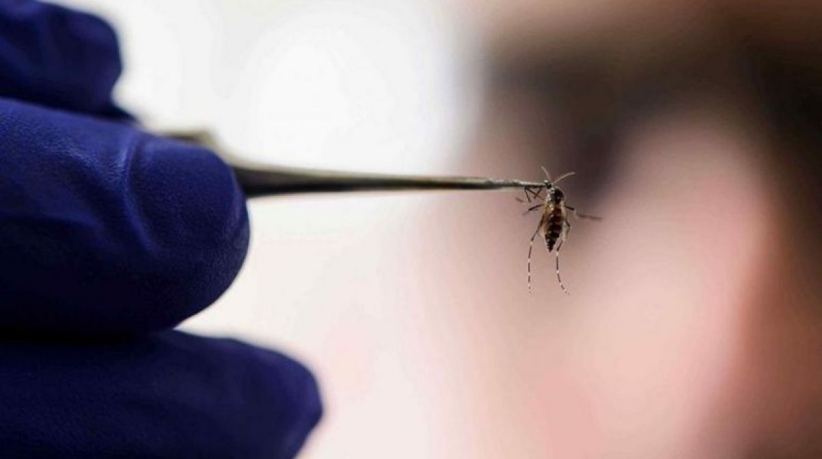 INSISTEN A LA POBLACIÓN PARA QUE SE VACUNE CONTRA EL DENGUE